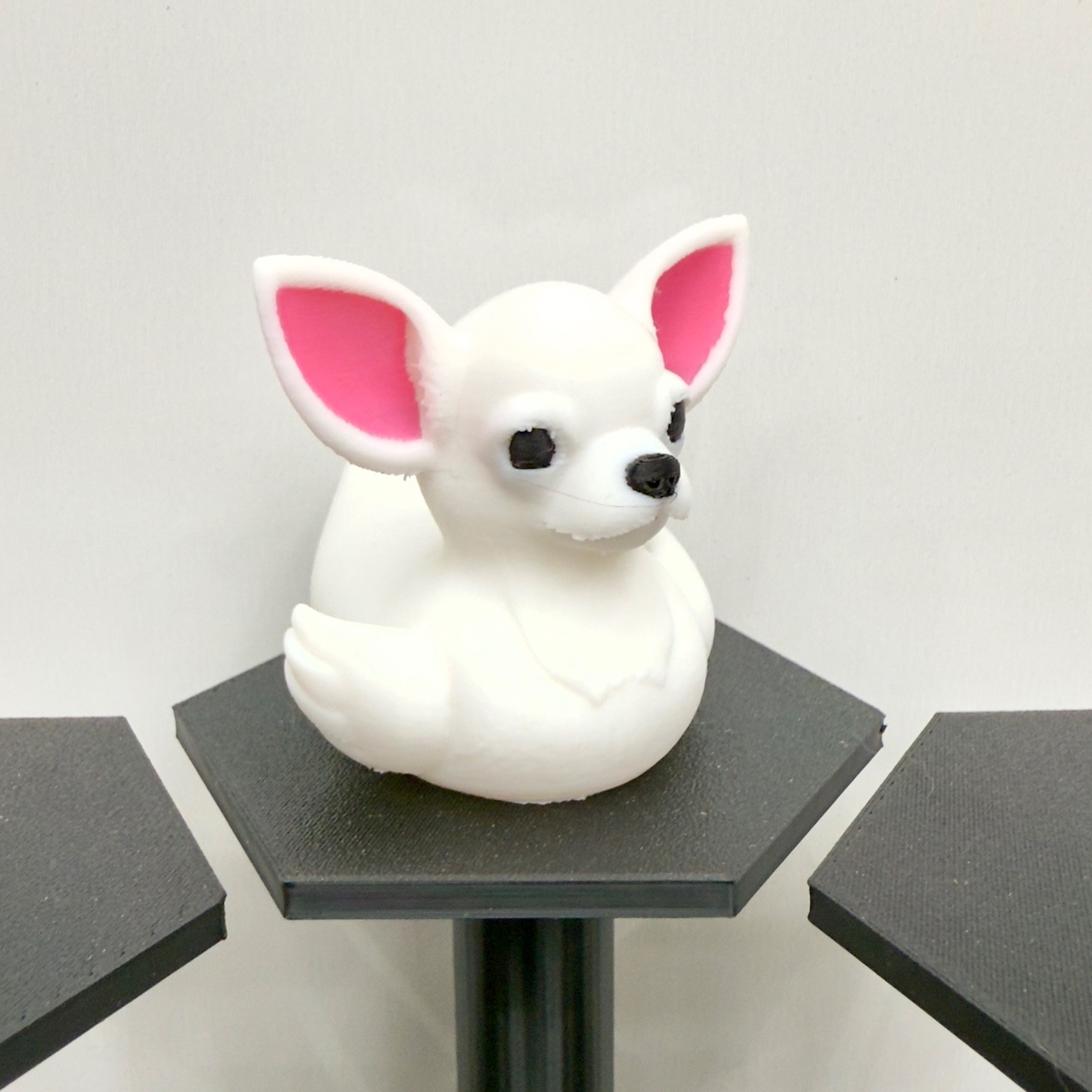 Chihuahua Duck | White Black Tan Brown Mix | Jeep Duck | Cruise Décor | 3D Print