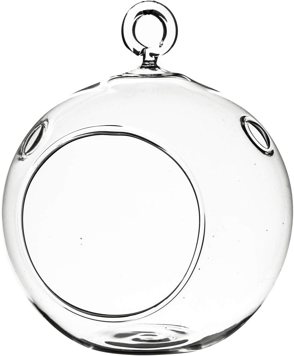 WGV Hanging Terrarium Globe, Width 3&Prime;, Height 4&Prime;, DIY Air Succulent Planter, Cle