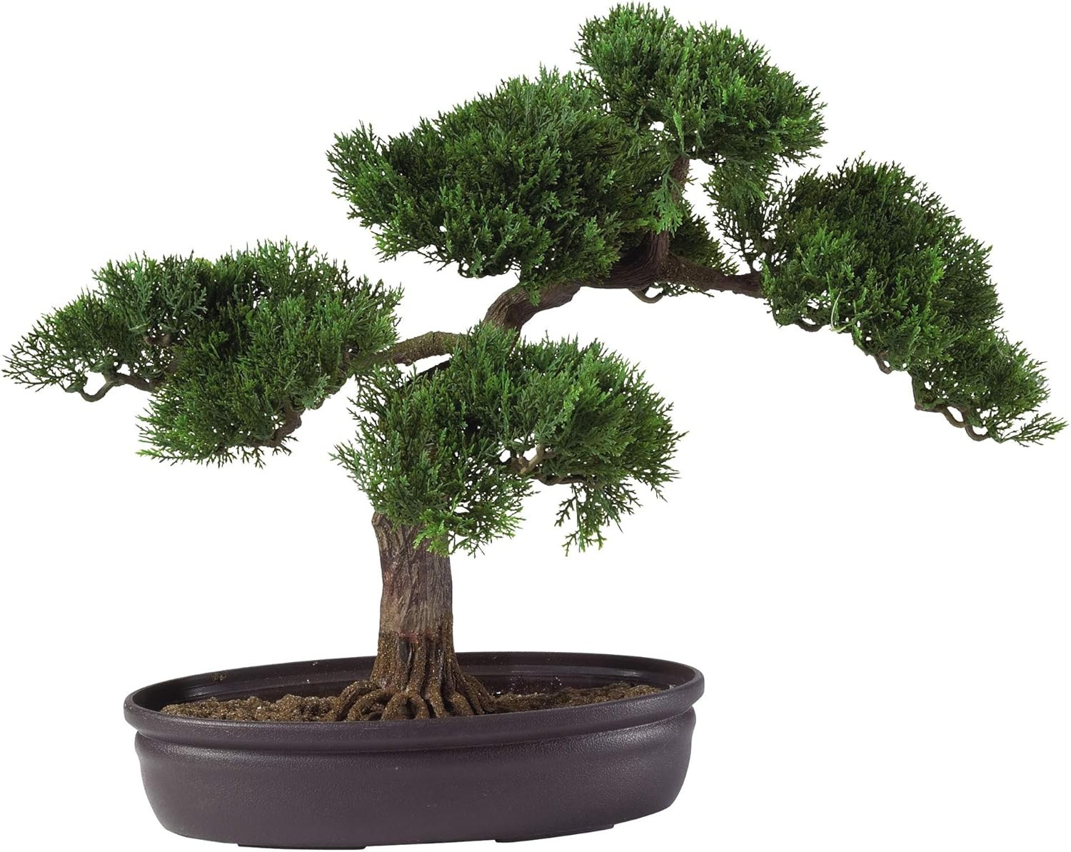 16in. Cedar Bonsai Artificial Plant