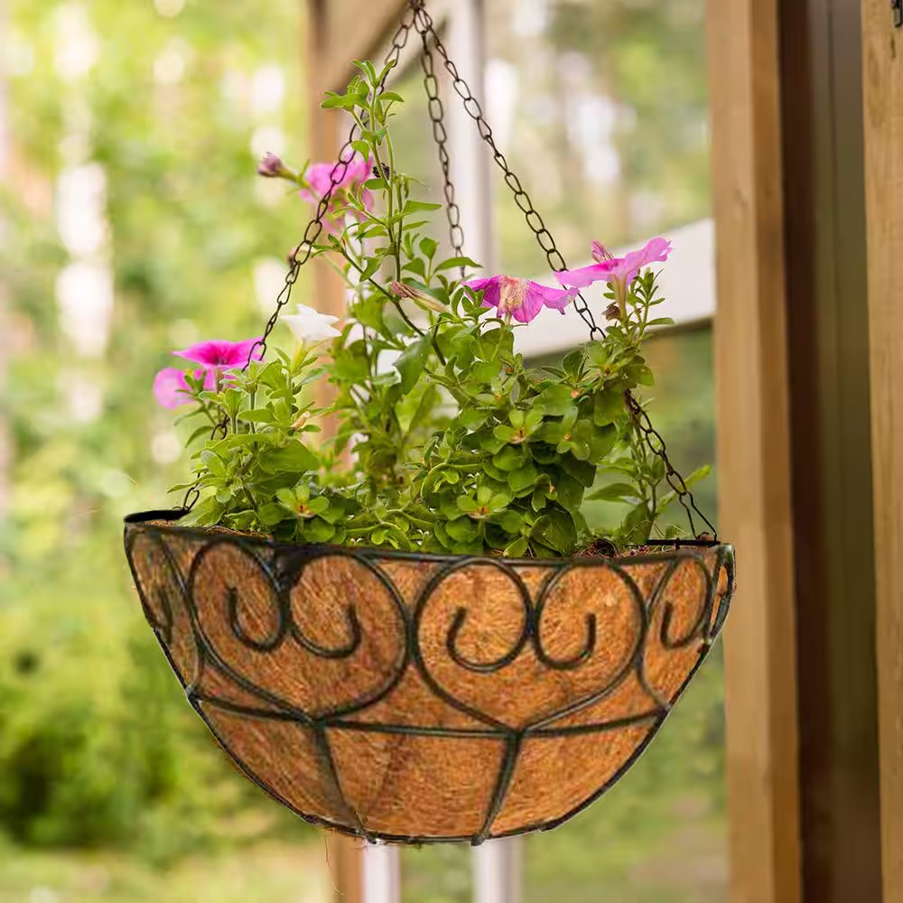16 In. Dia Black Metal Heart Scroll Hanging Basket with Coco Liner