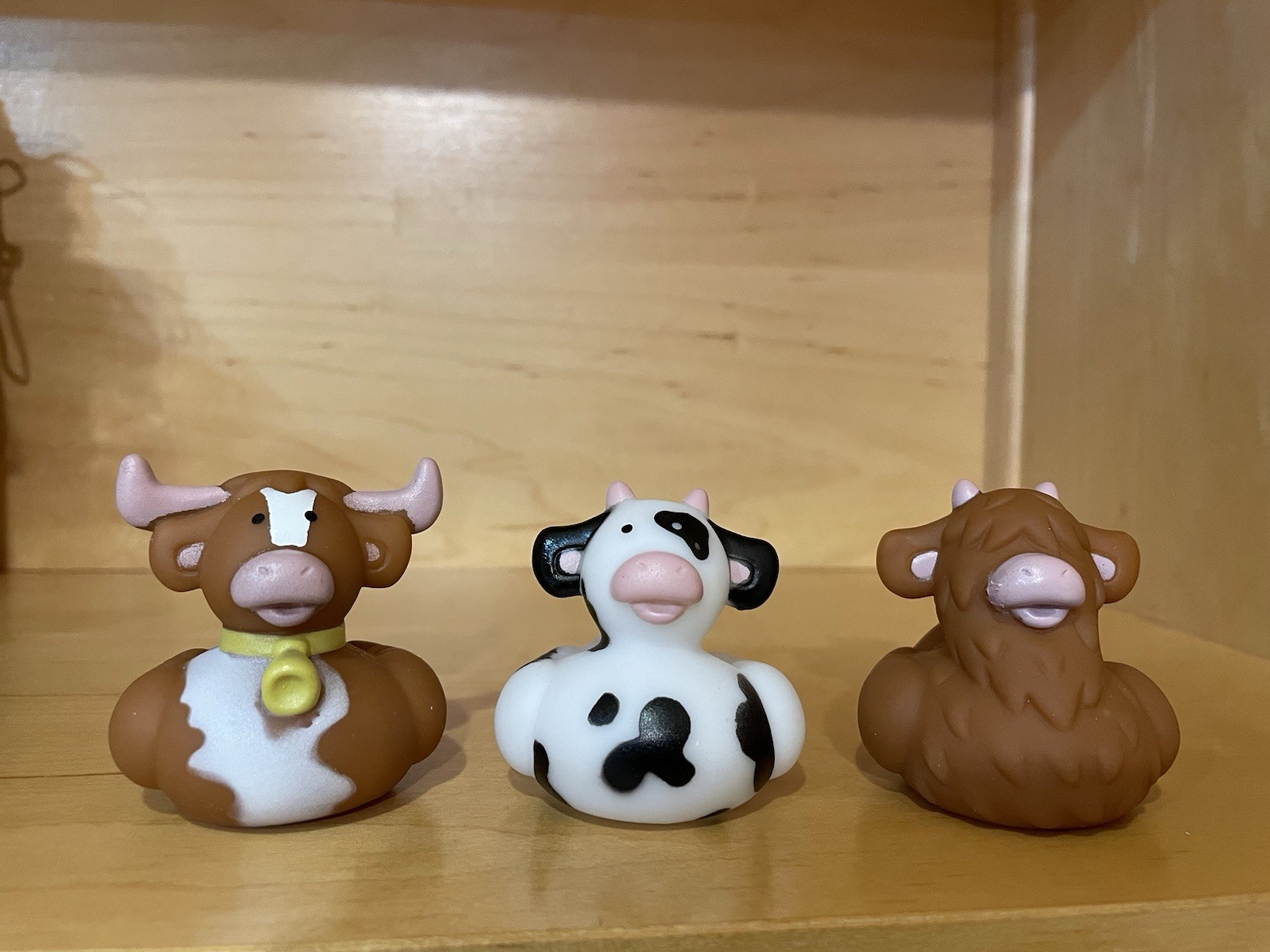 DUCKS New Novelty Rubber Duck Set-Dashboard/Decor Fun 2&Prime;-2.5&Prime; HIGHLAND COWS