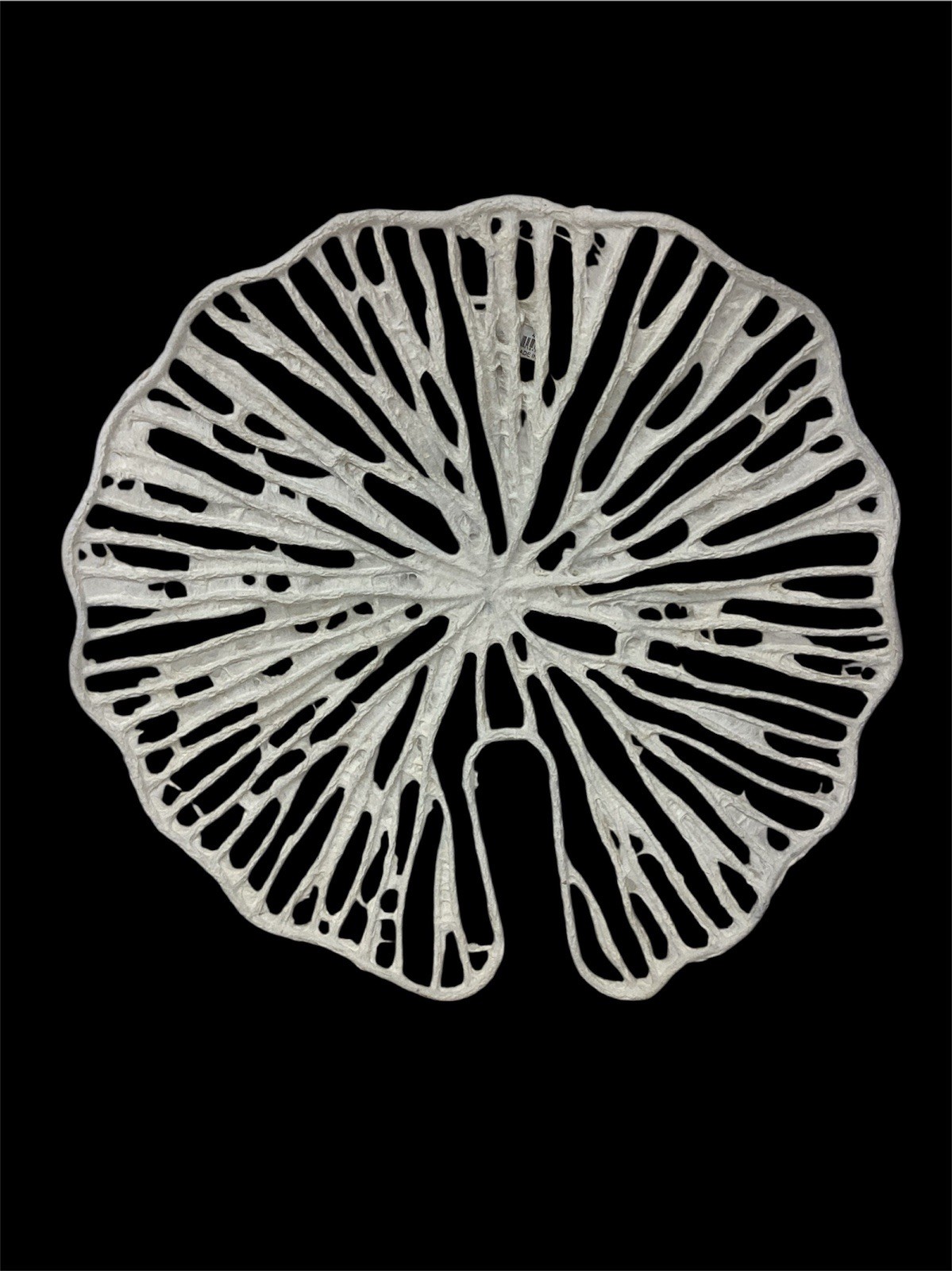 White Coral Shaped Paper Mache & Metal Wall Décor 16×16 A&B Home