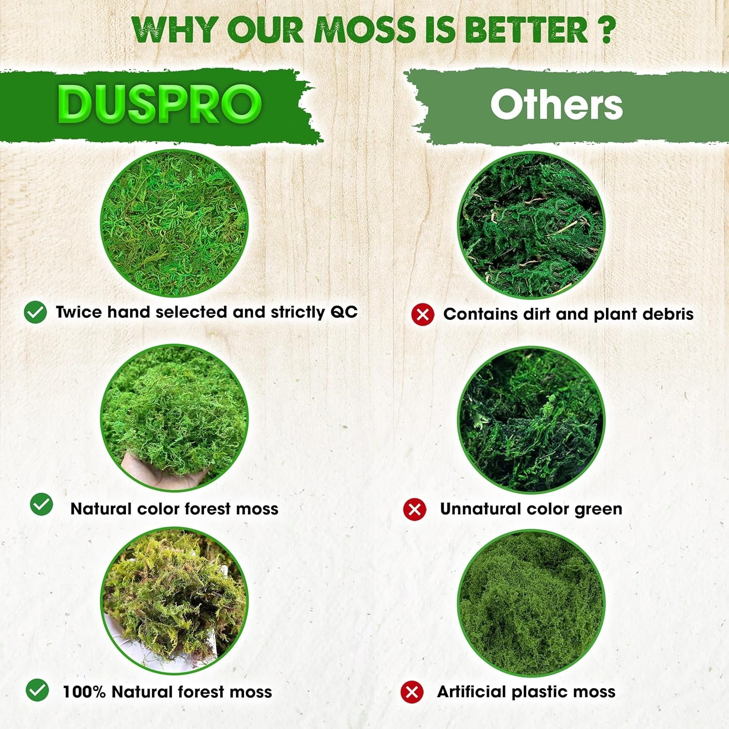 2 oz Green Forest Moss for Crafts – Real Dried Decorative Moss for Home Decor