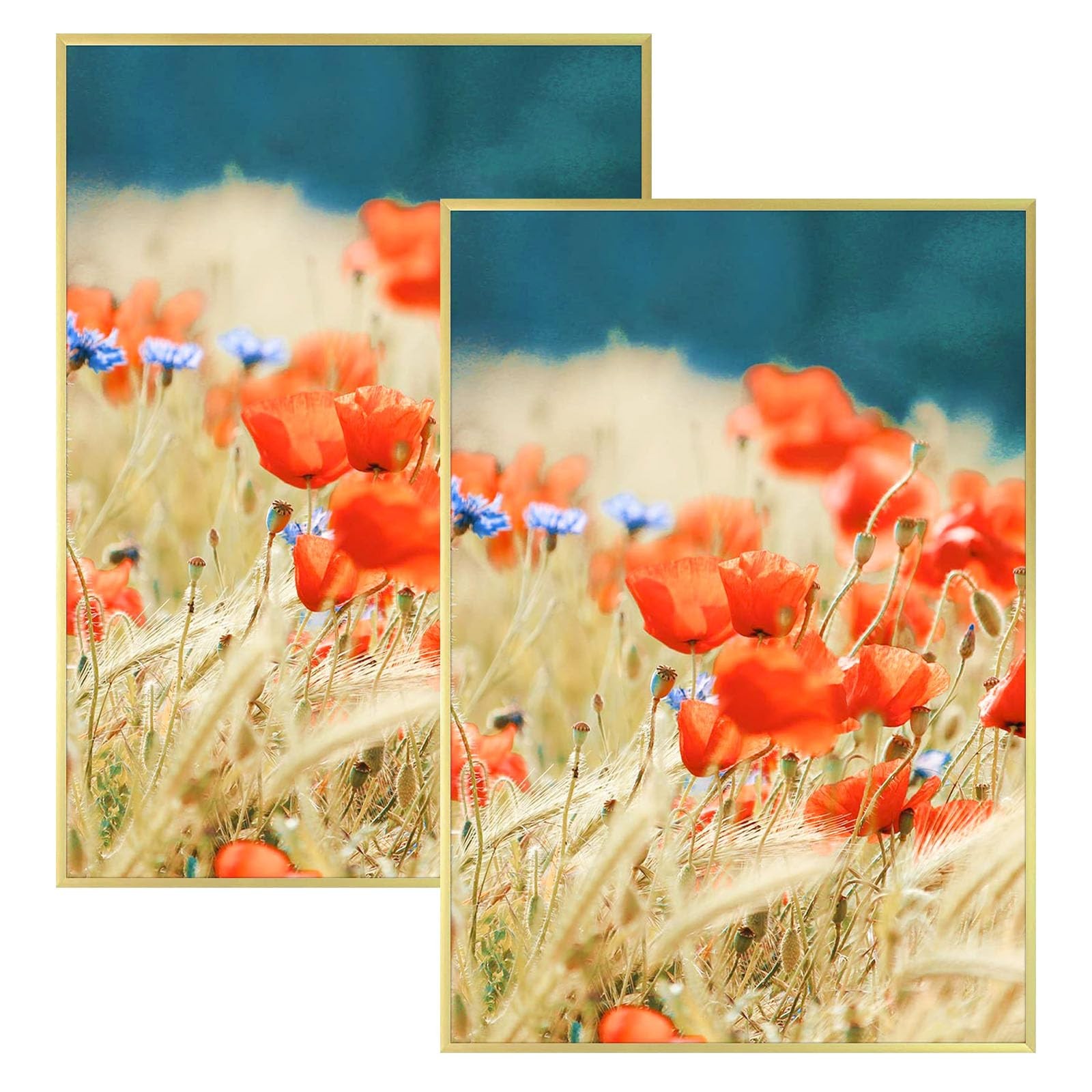 2 Pack 13×19 Gold Photo Picture Frame Acrylic Front Wall Tabletop Gallery Art