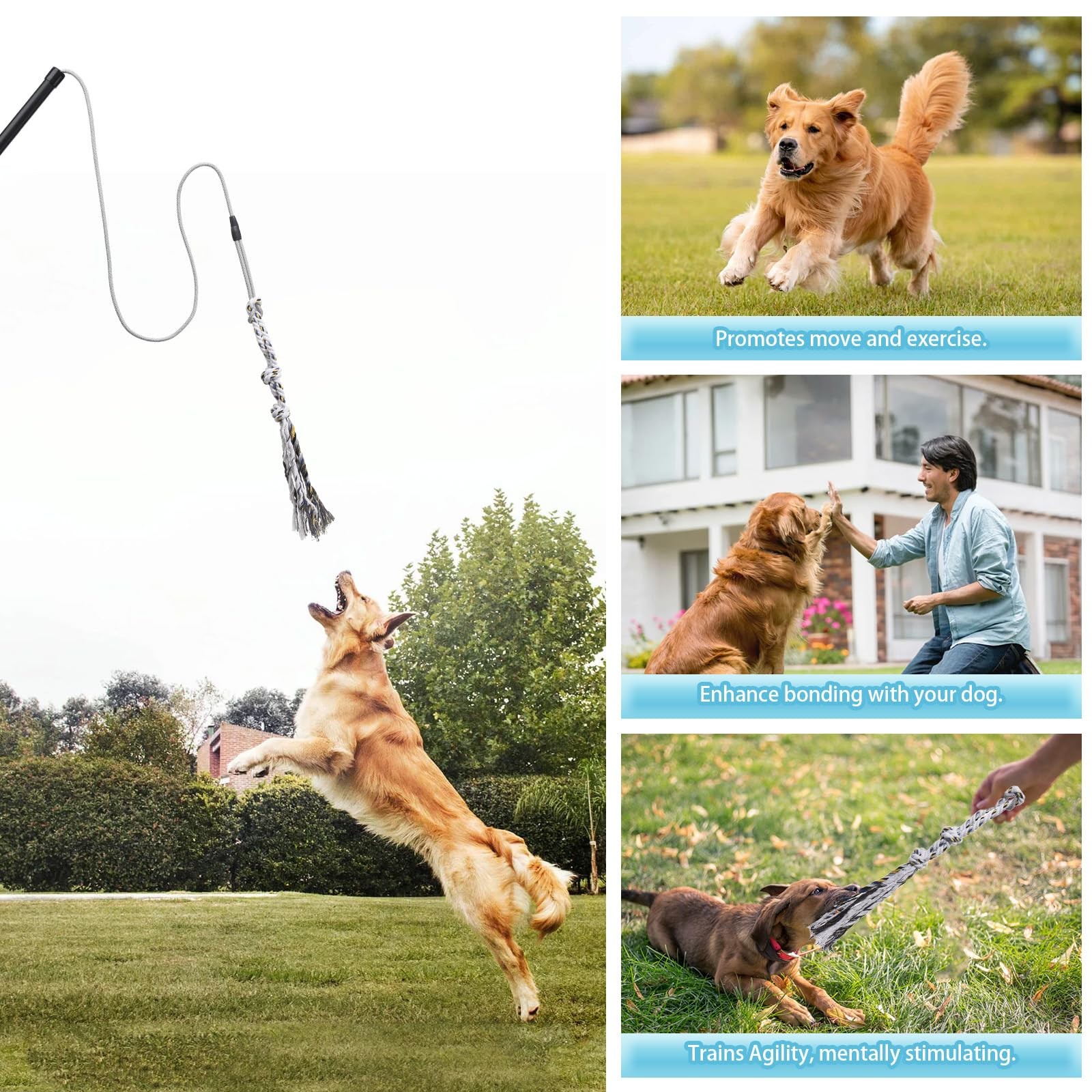 Flirt Pole for Small Medium Dogs,Interactive Chase and Tug of War Black