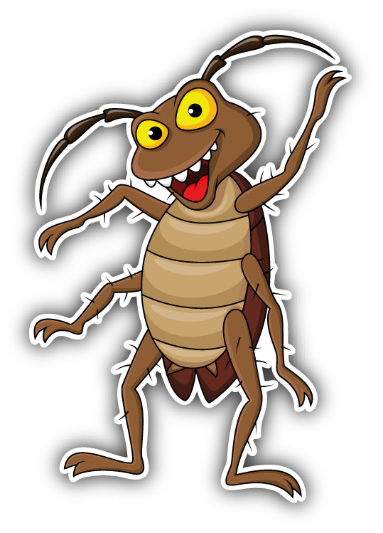 Cockroach Cartoon Car Bumper Sticker Decal –  »SIZES »