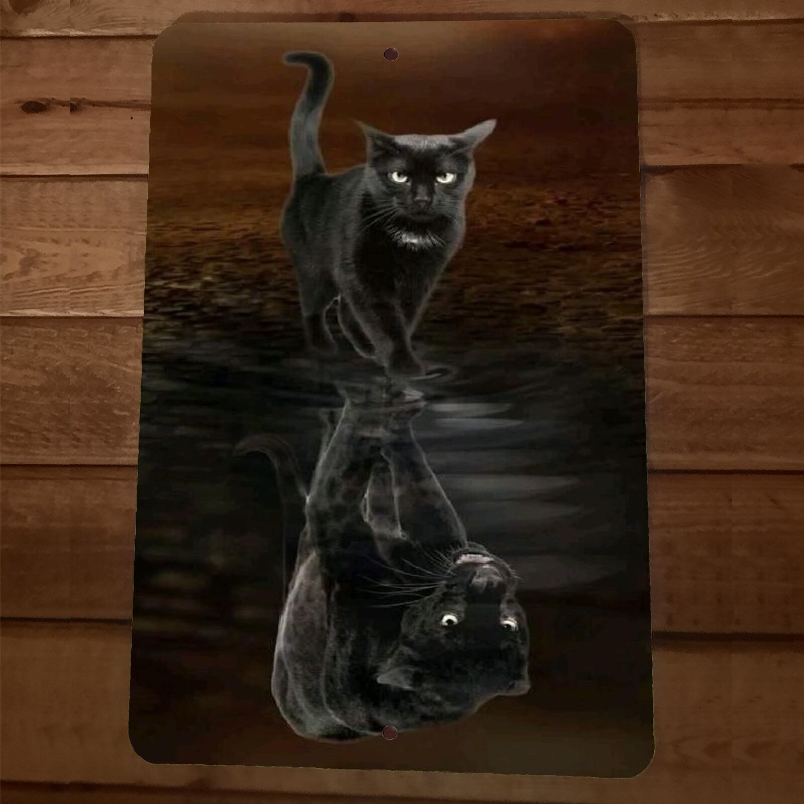 Black Cat Panther Water Reflection Animal 8×12 Metal Wall Sign