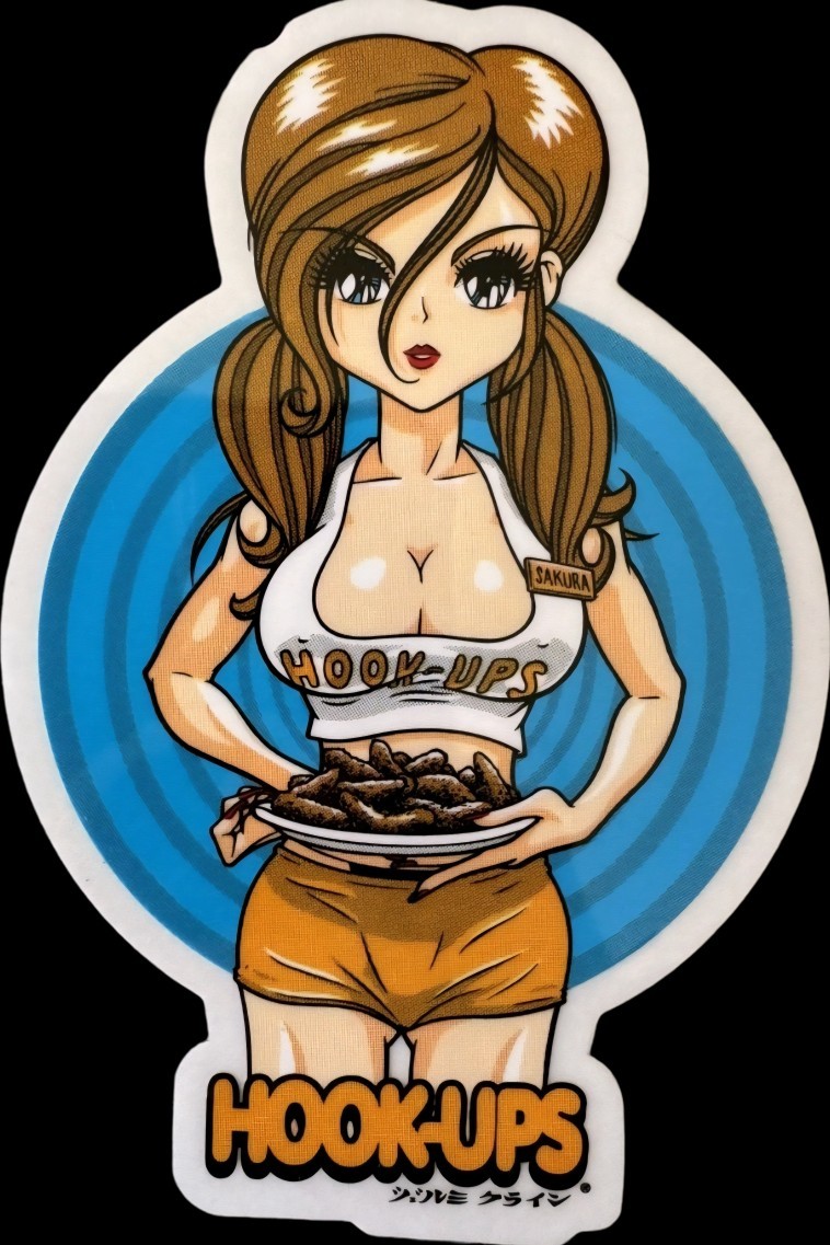 Hookups Die Cut Stickers 3&Prime; Vertical Gloss Skateboard Water Bottle Laptop Etc