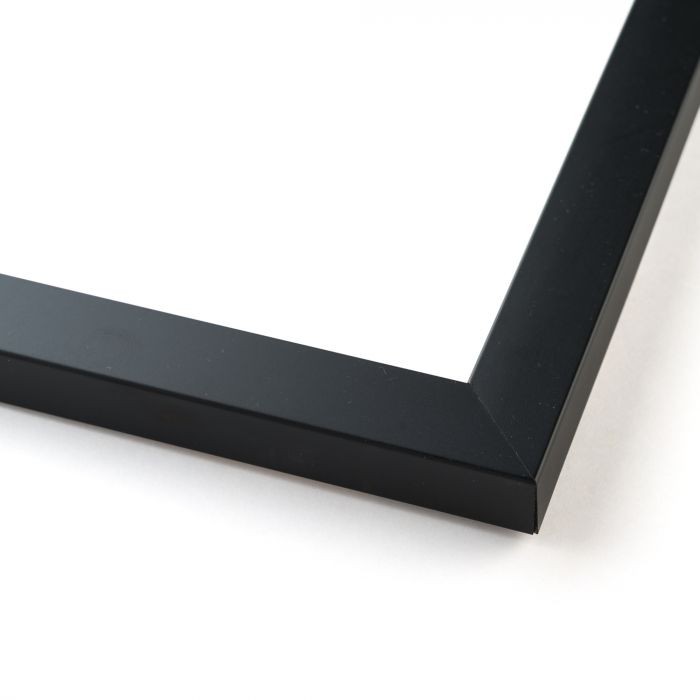8×16 8 x 16 Flat Black Solid Wood Frame with UV Framer&rsquo;s Acrylic & Foam Boa…