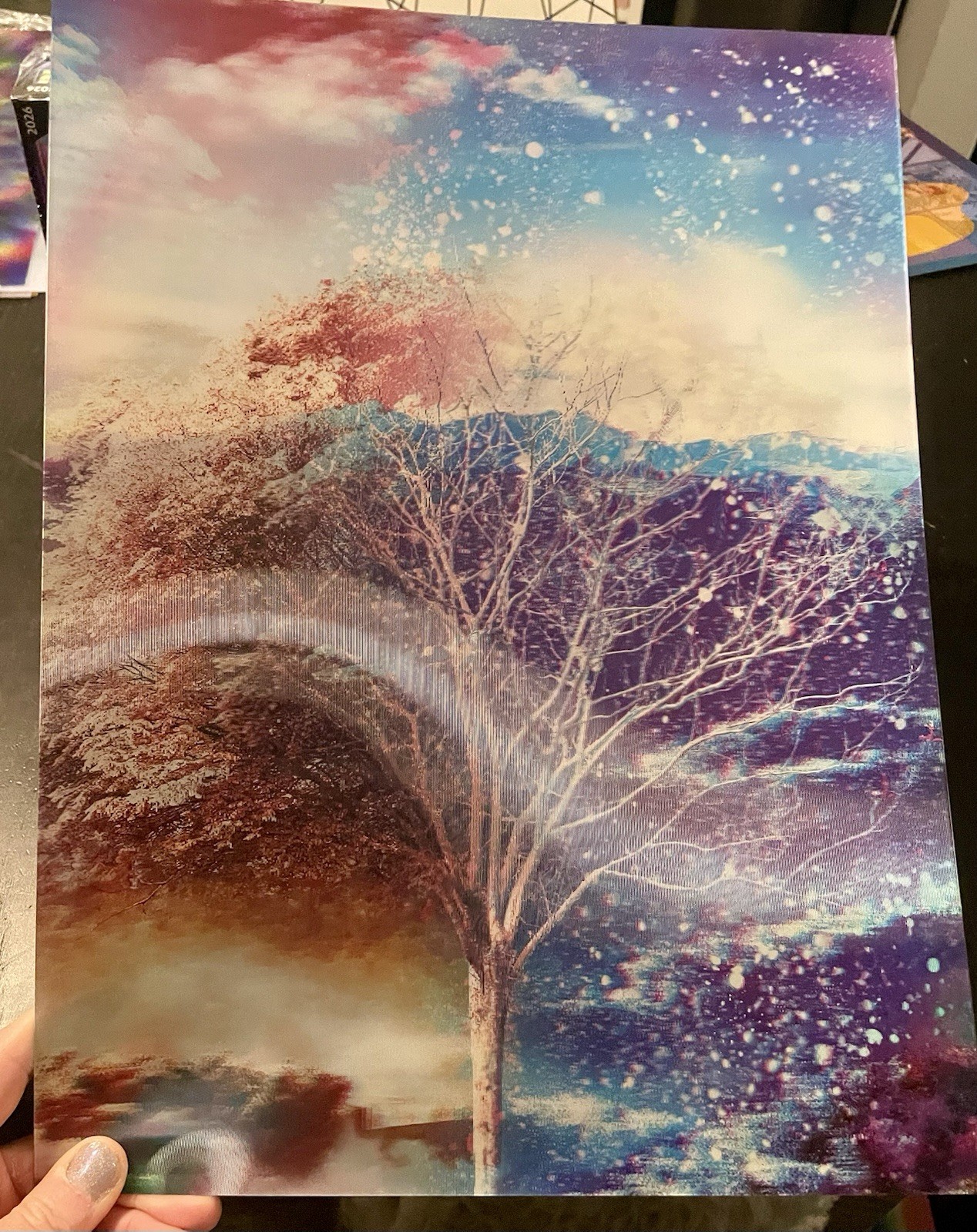 Four Season Tree Lenticular (Moving) Poster – 4 Seasons In One Poster!