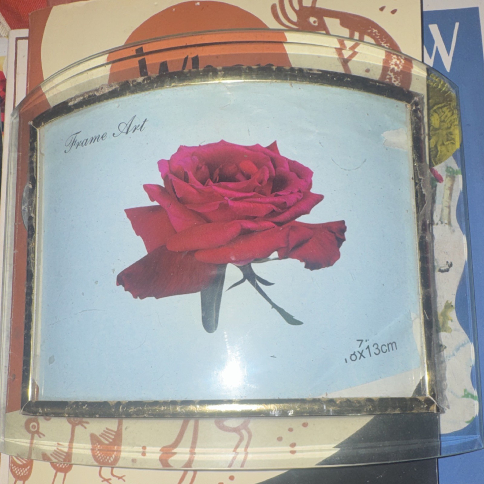Frame Art Clear Plastic Rectangle Photo Frame 7in x 13cm Red Rose Floral