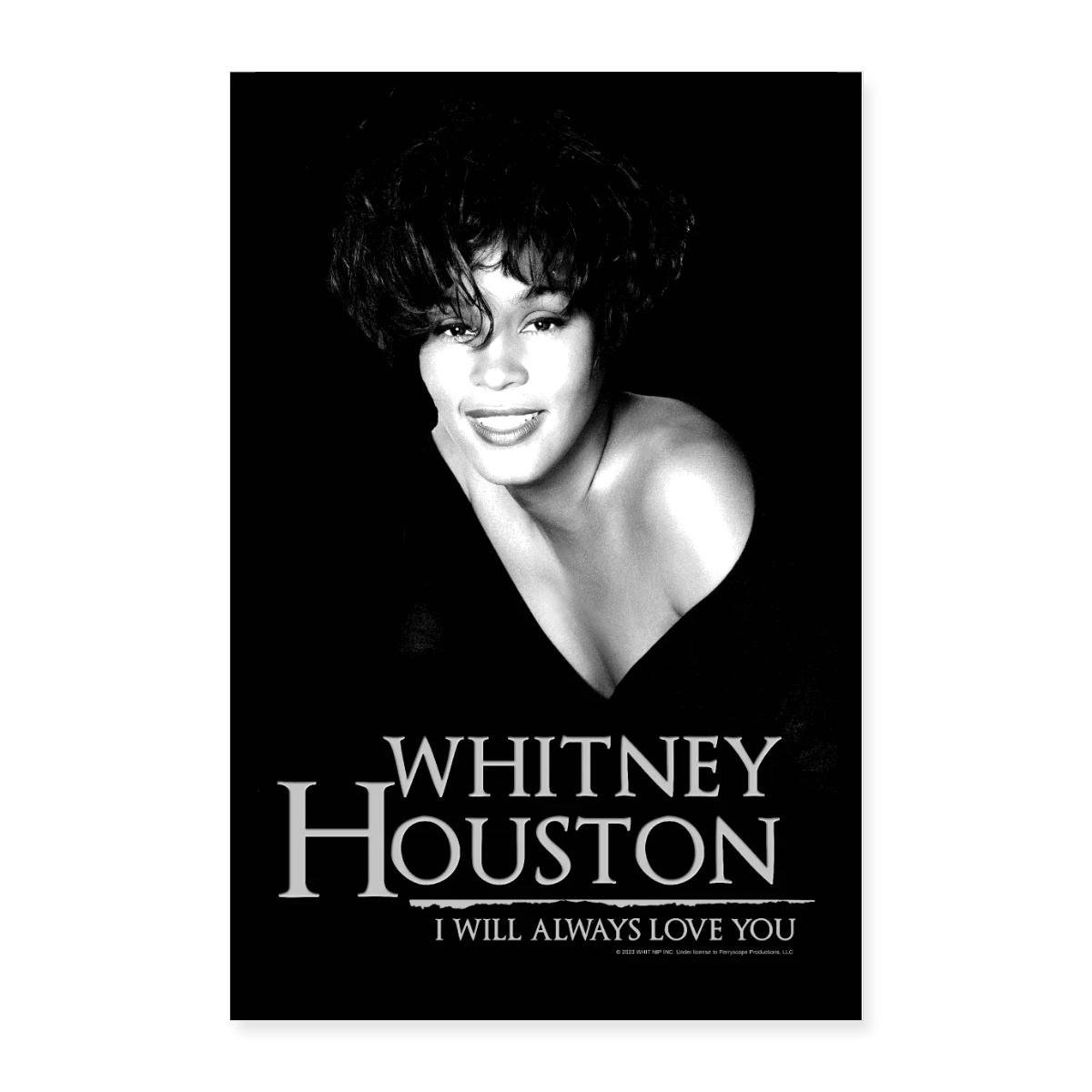 Whitney Houston Black White Poster 24” x 36”, One Size, white