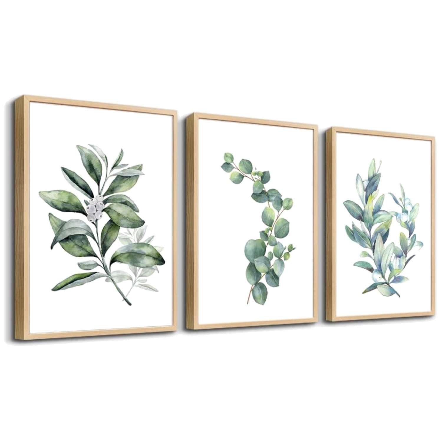 Watercolor Plant Leaves Wall Pictures