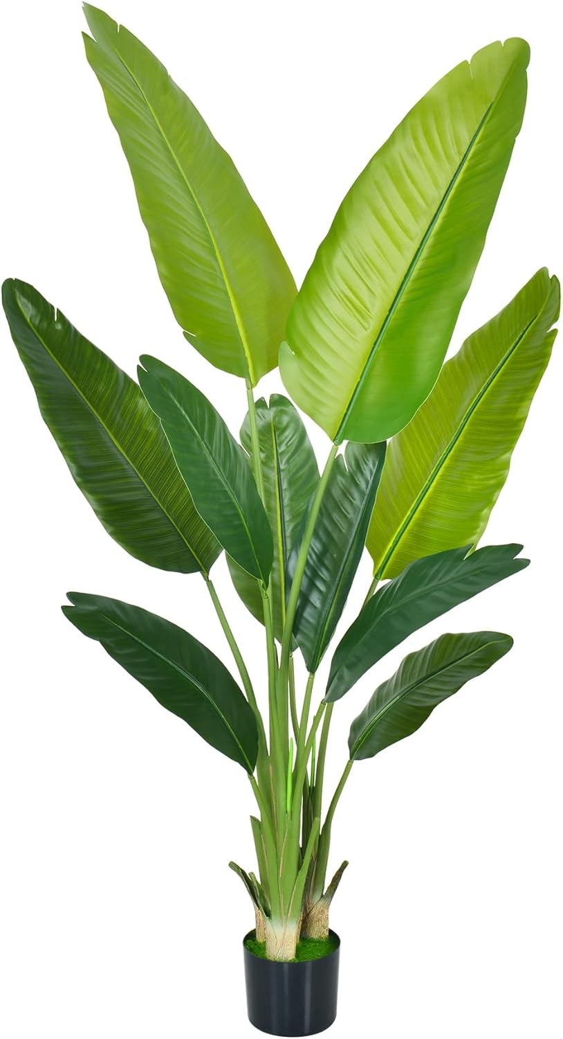 Colourtree Artificial Bird of Paradise Plant, Feaux Plants in Pot