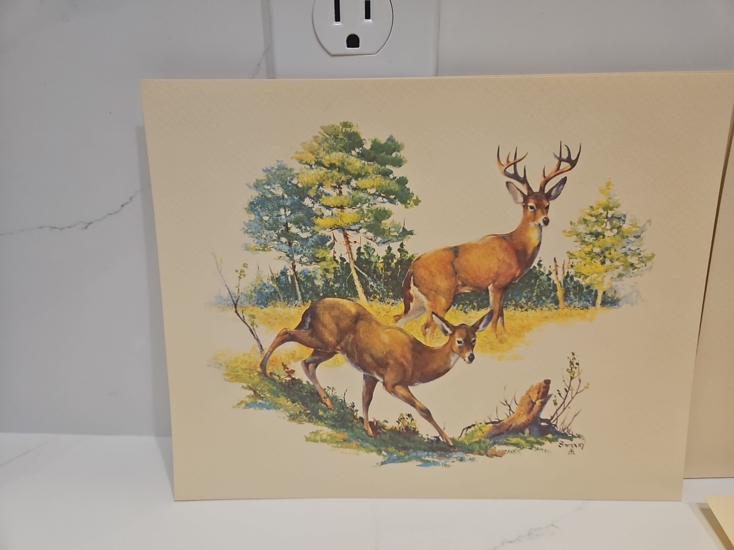 Vtg 1970&rsquo;s FREDERICK SWENEY Wildlife 3-D EMBOSSED Prints-Wildlife Set of 4-8×10