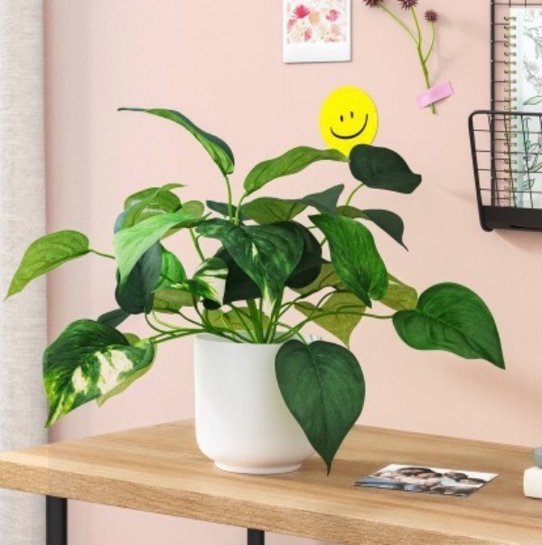 Pothos Artificial Plant in White Pot – Room Essentials