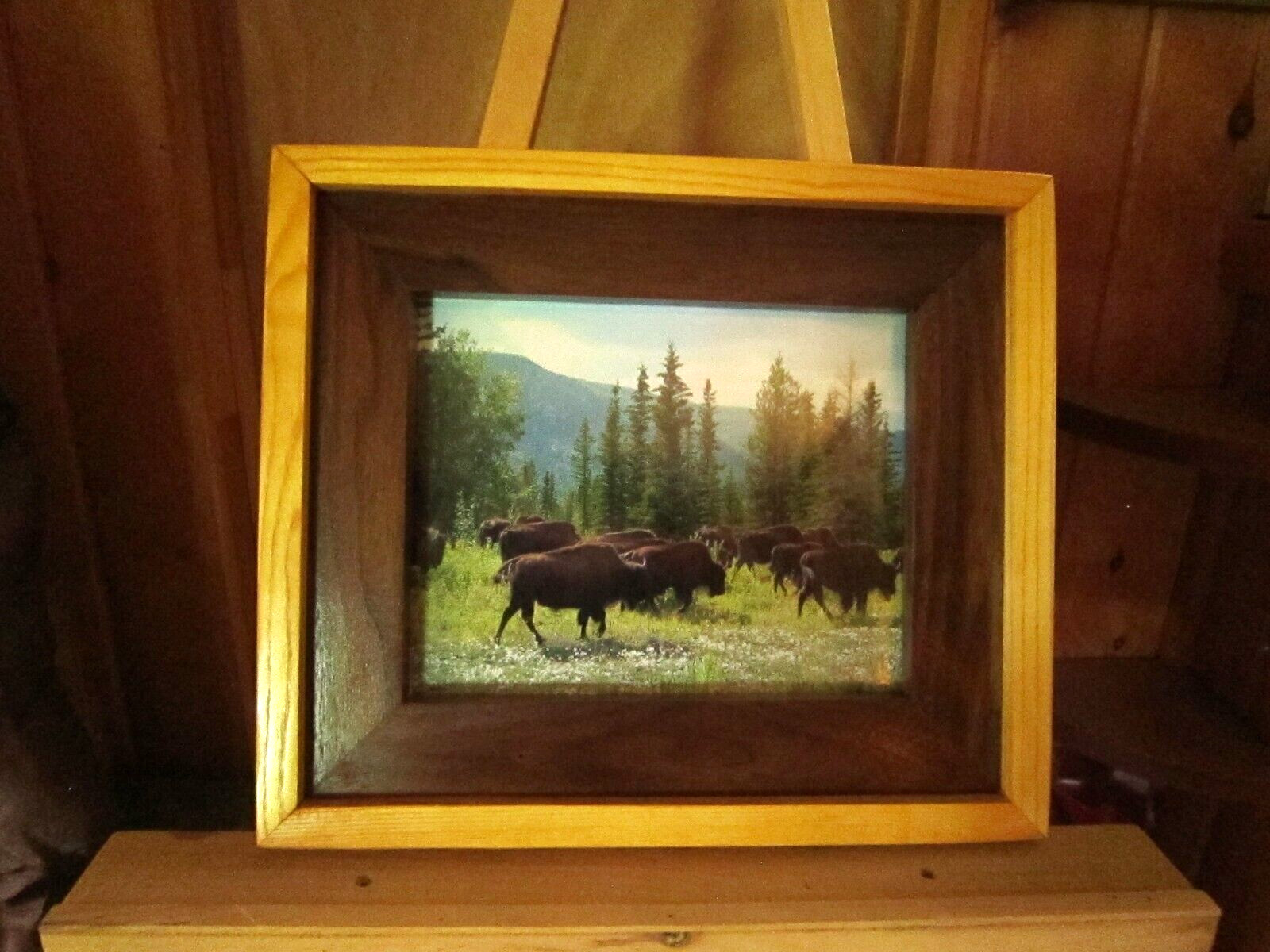 Arizona Buffalo Picture Frame