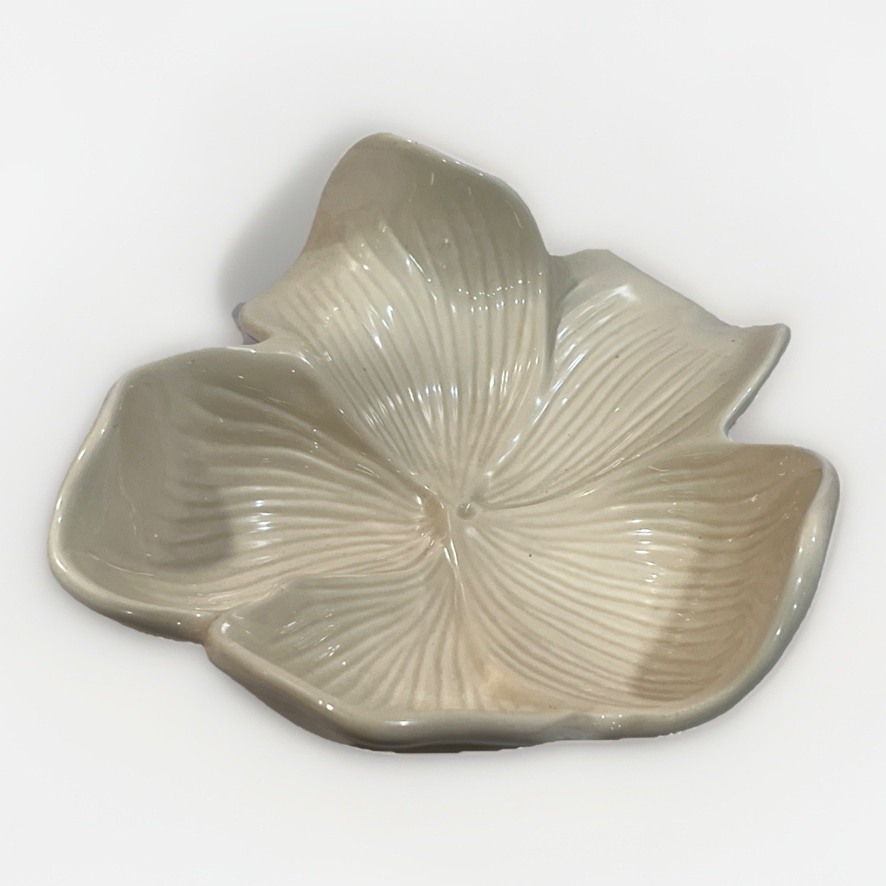 Arhaus Cream Magnolia Plate Flower Wall Hanging Decor Bowl 8.5&Prime; x 7&Prime;