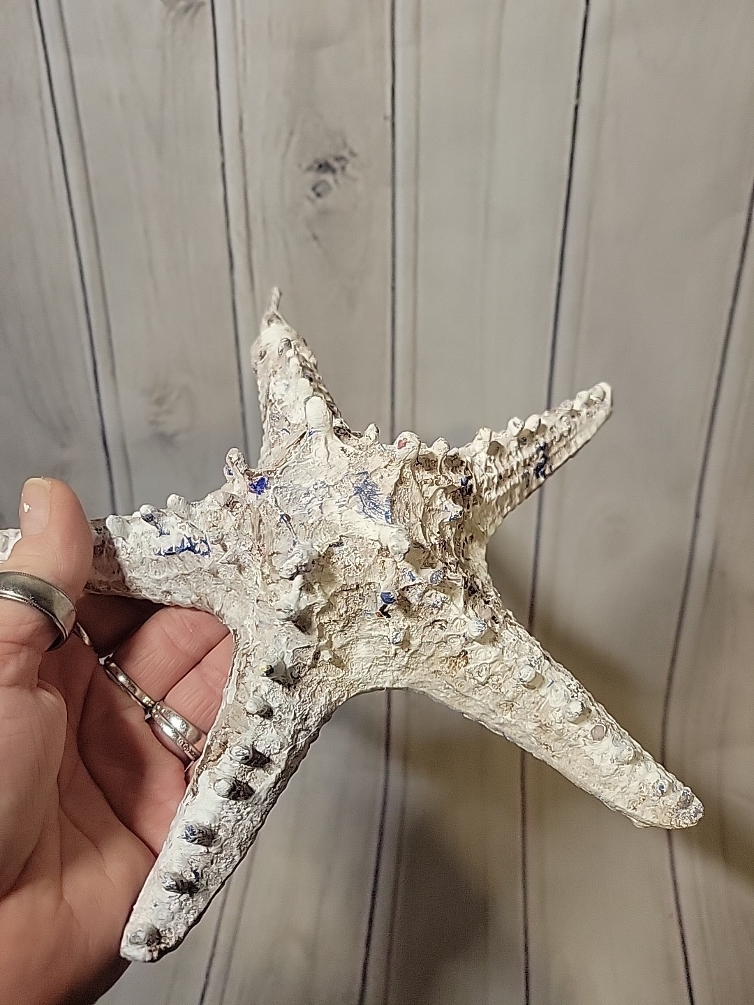 Starfish 8&Prime; Wall Hanging Ocean Sea Decor Bathroom Any Room