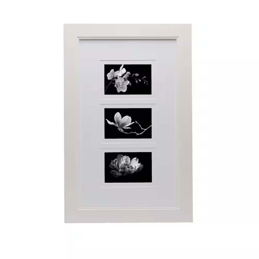 15 In. X 23 In. Glossy White MDF Portrait Frame, 3-4 X 6 Photos