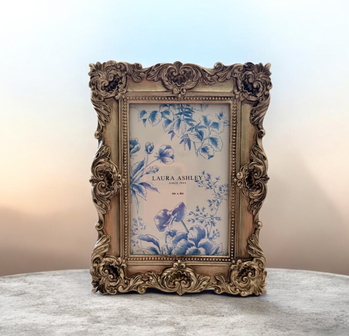 Laura Ashley Vintage-Style Gold Frame for 4”x6” photos…