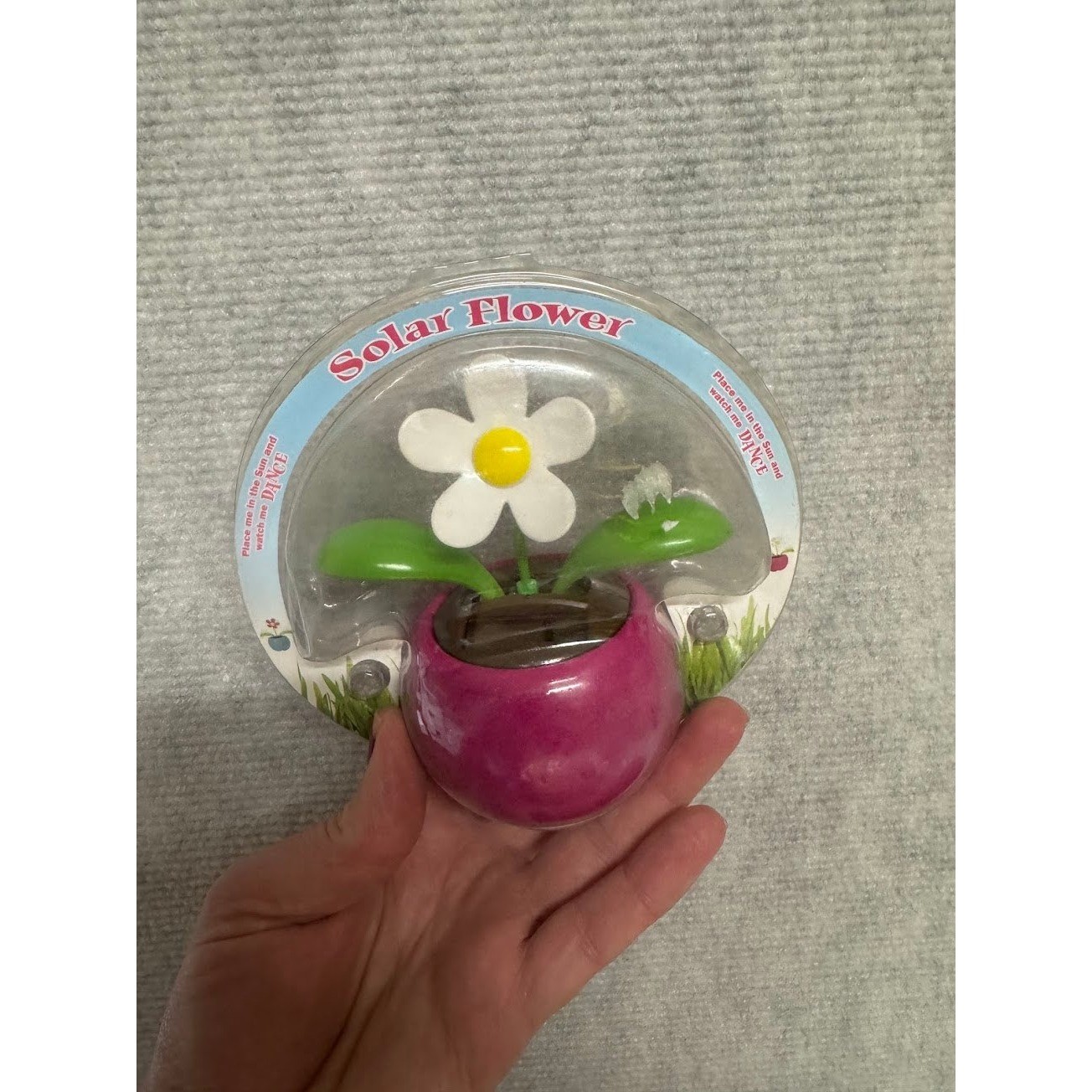 NEW CUTE Solar Powered Dancing White Daisy Flower in Pink Pot Bobble Sun Toy