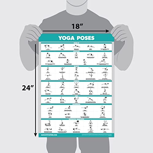 Palace Learning QuickFit Yoga Position Exercise Poster – 18&Prime; x 24&Prime;, Laminated