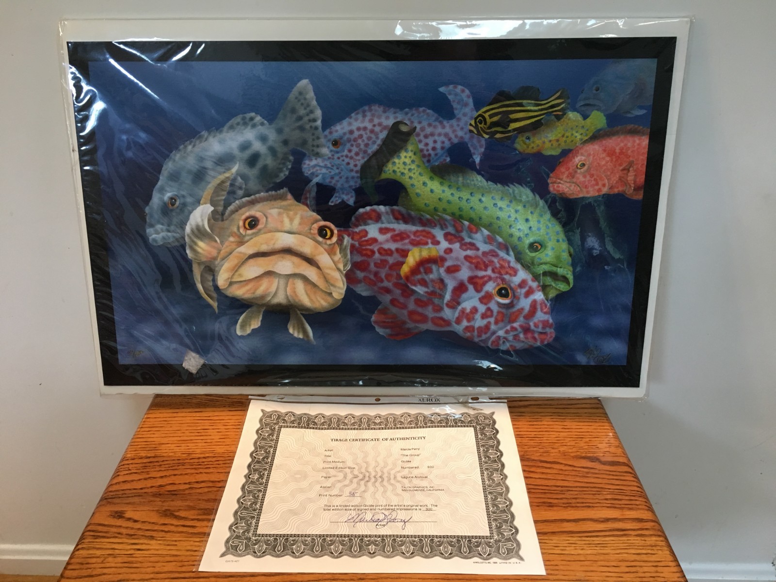 Marcia Perry « The Group » Limited Edition Size #38 of 300 w/ COA Art Print Fish