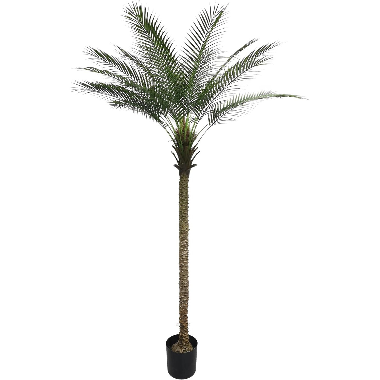 2 Pack 6ft Artificial Coconut Palm Tree, Fake Tropical Palm Plant for Indoor Out
