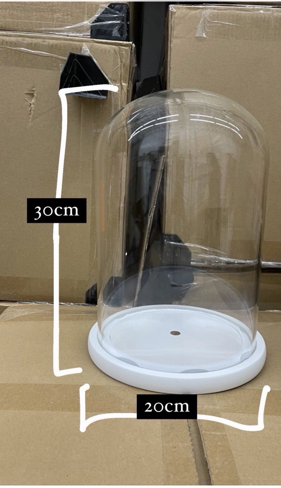 1 Piece Glass Dome Display Bell Jar Cloche w/ Wood Base 12” X 8”
