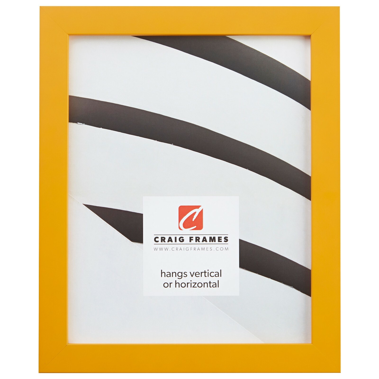 Craig Frames Confetti Primary, .875&Prime; Wide Modern Picture Frame, Various Colors