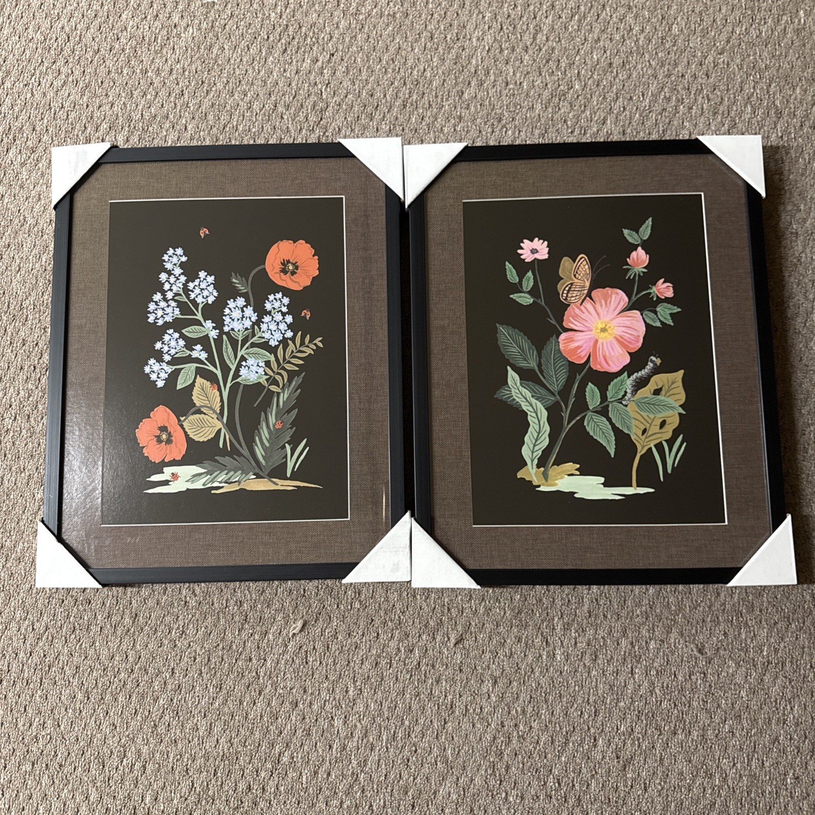 Rifle Paper Co. 16&Prime;x20&Prime; Botanical Poster Framed Wall Art Print Set of