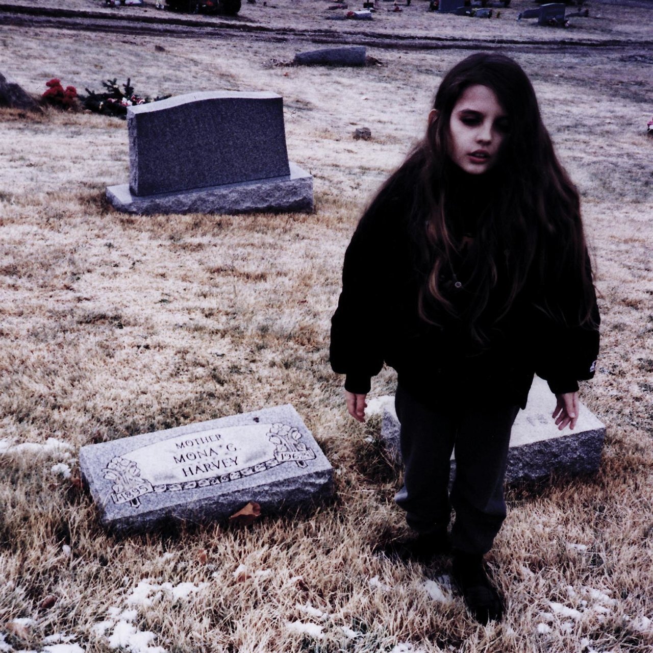 Crystal Castles Crystal Castles (II) Poster Wall Art Photo Prints 16, 20, 24&Prime;