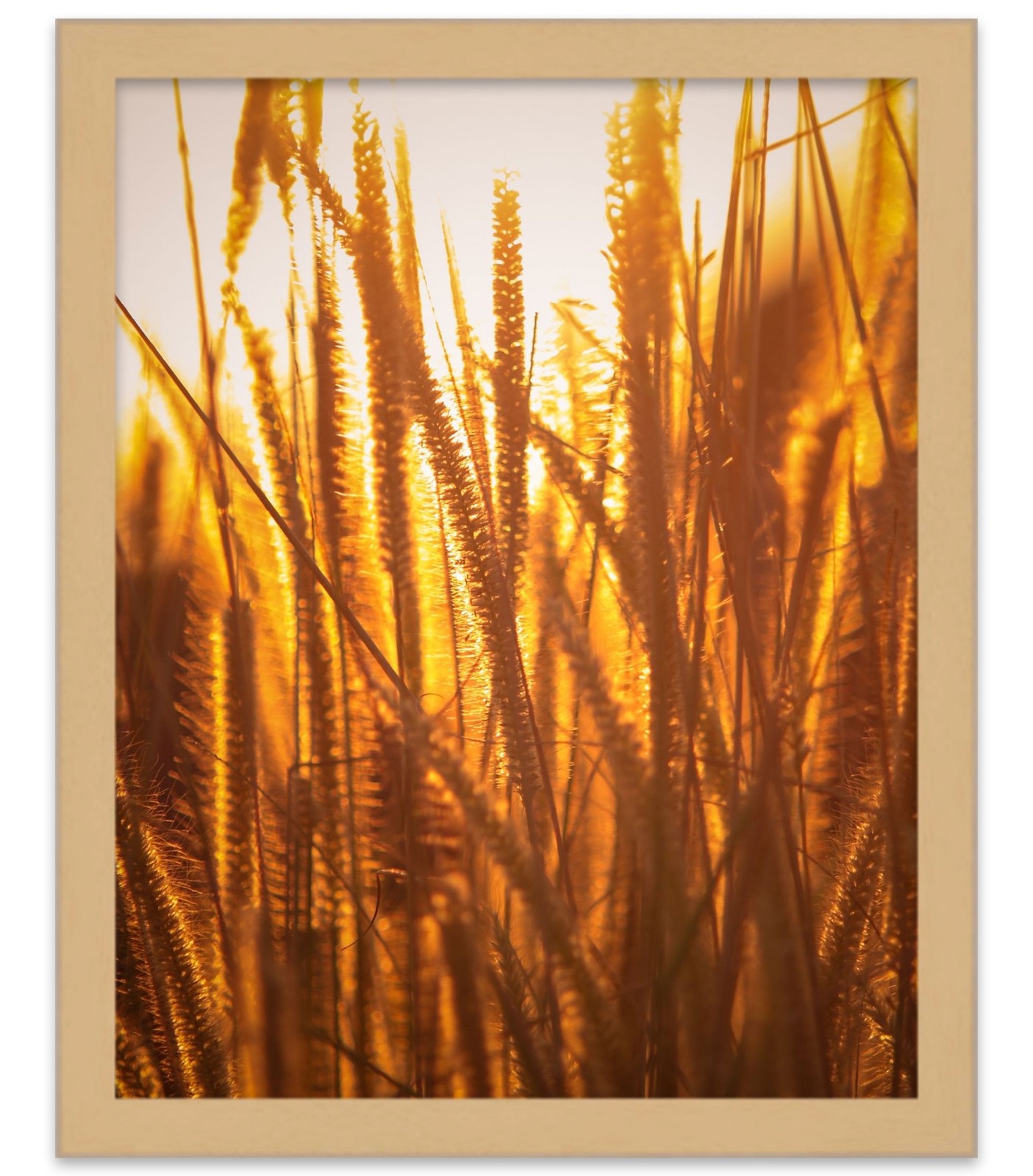 12×30 Natural Oak Flat Wood Frame with UV Acrylic and Acid Free Foam Board