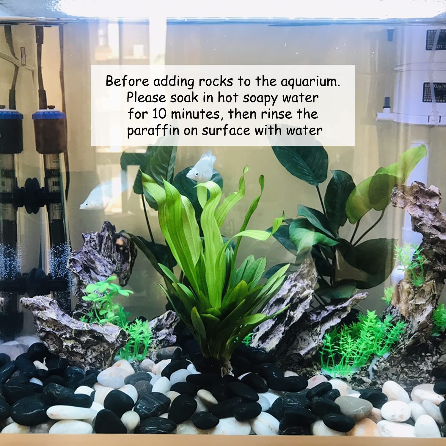 FANTIAN 5 lbs Polished Black Pebbles for Indoor Plants, 0.8-1.2 Inch Small Ba…