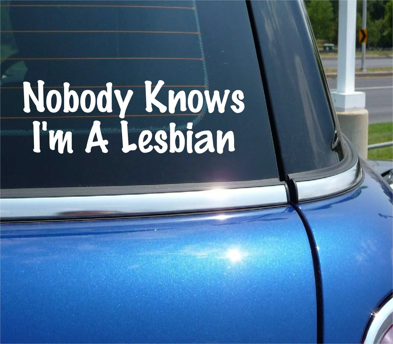 NOBODY KNOWS I&rsquo;M A LESBIAN GAY LGBT PRIDE DAY PARADE DECAL STICKER FUNNY CAR