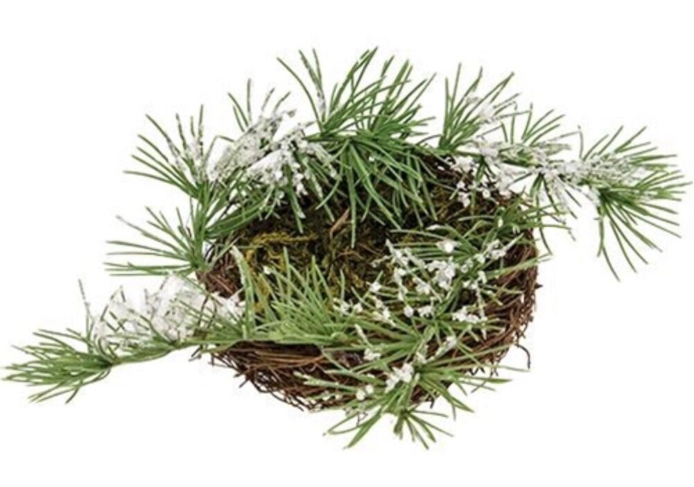 Winter Bird Nest 5” Icy Long Needle Pine Winter Bird Nest