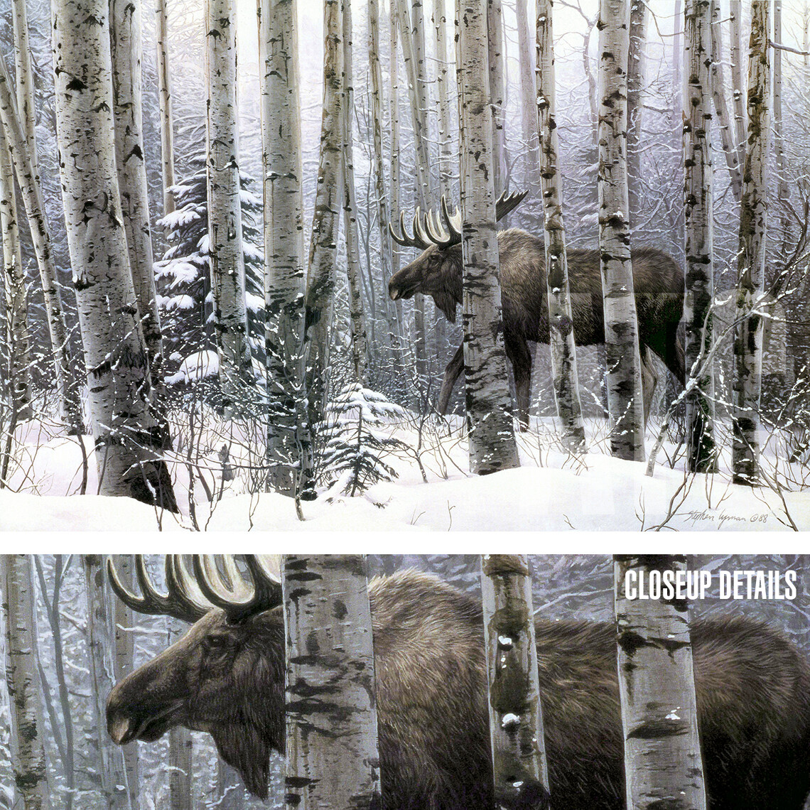 36W »x24H » A WALK IN THE WOODS by STEPHEN LYMAN – DEER MOOSE CHOICES of CANVAS