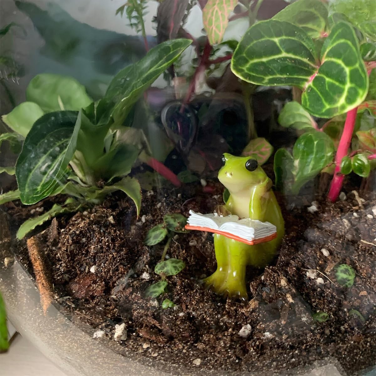 Miniature Small Frog and Rabbit Figurines Fairy Garden Supplies Terrarium DIY…