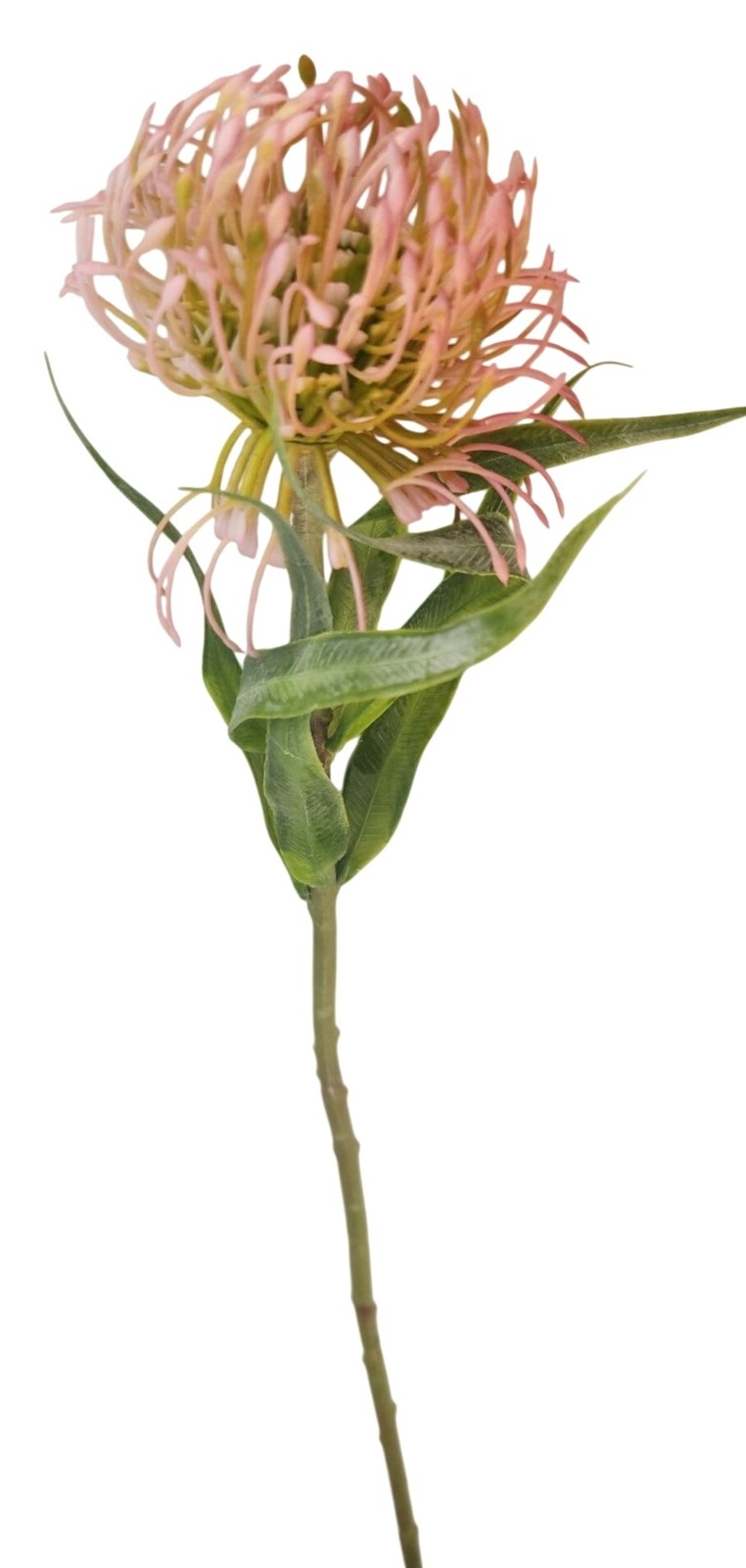 Pink Blush Pincushion Protea Stem Faux Protea Flower Artificial Floral Decor