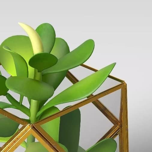 (2 PACK) 5&Prime; x 4&Prime; Artificial Succulent Plant with Brass Terrarium – Opalhouse