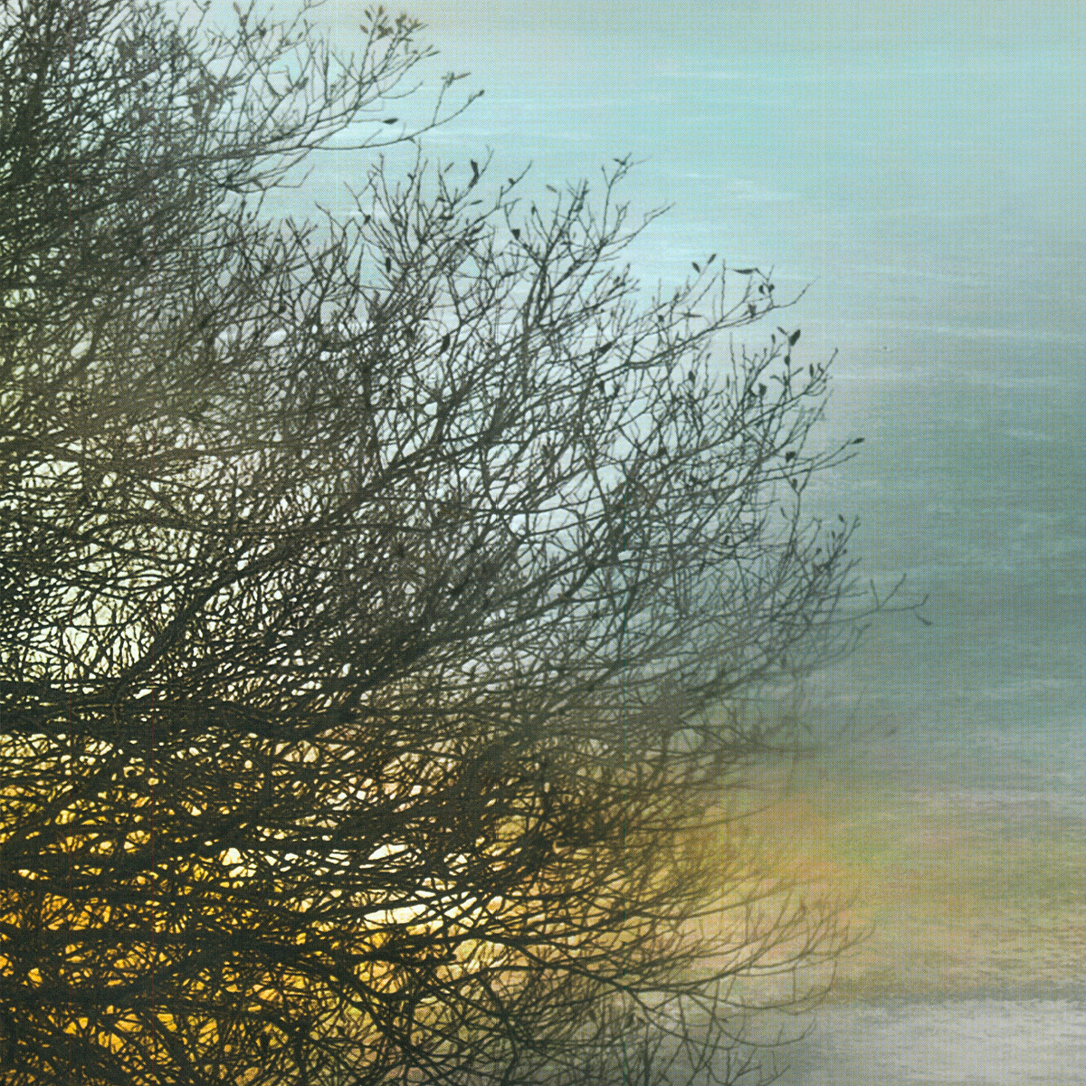 36W »x24H » BY MY SIDE by WILLIAM VANSCOY – CHOICES of CANVAS