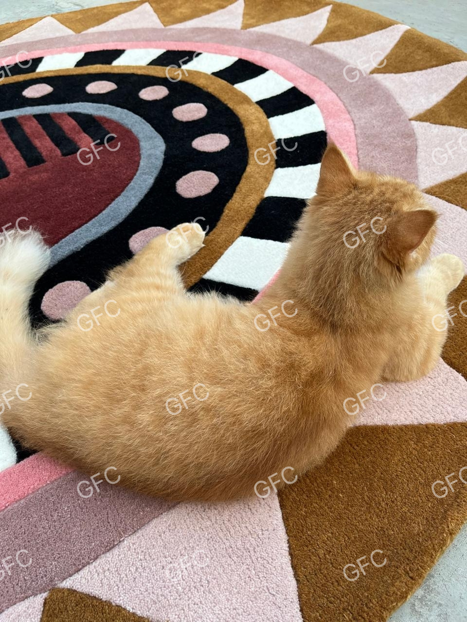 Designer Rug oval shape Greg Natale woolen Area stella diva Rug .5×8/6×9/8×10.