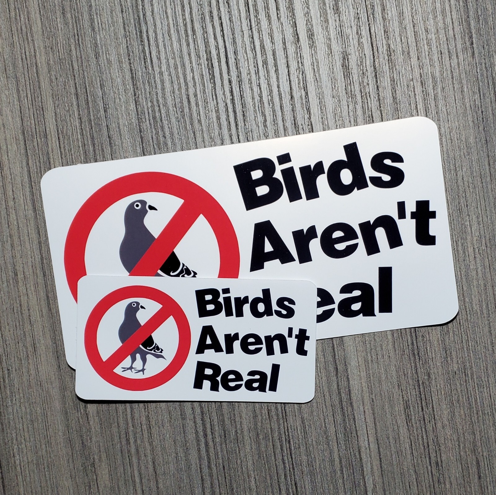 Birds Aren&rsquo;t Real – Laminated Waterproof Vinyl Sticker – 2 Sizes Available