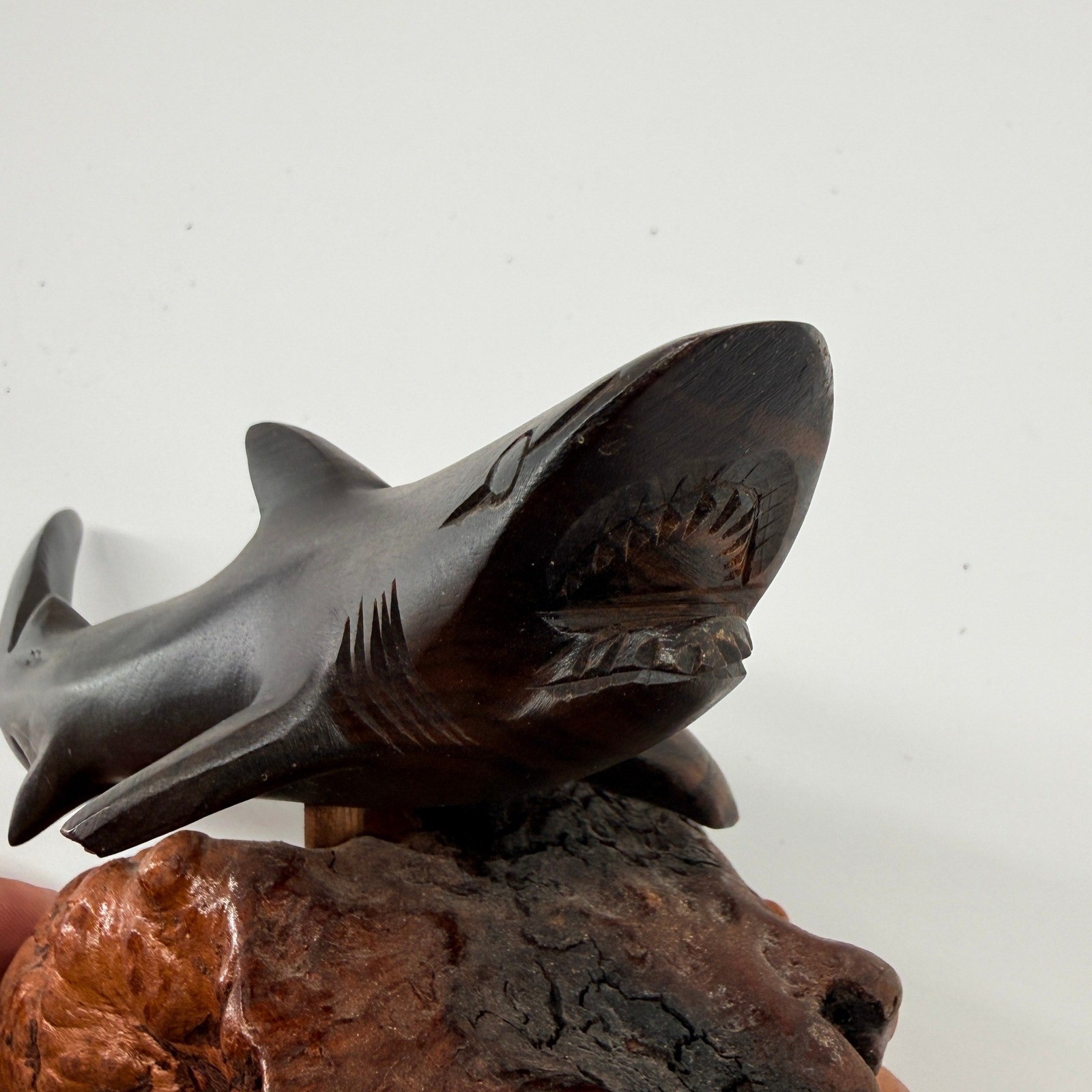 Shark Sculpture Dark Brown Ironwood Burl Wood Hand Carved Coastal Art