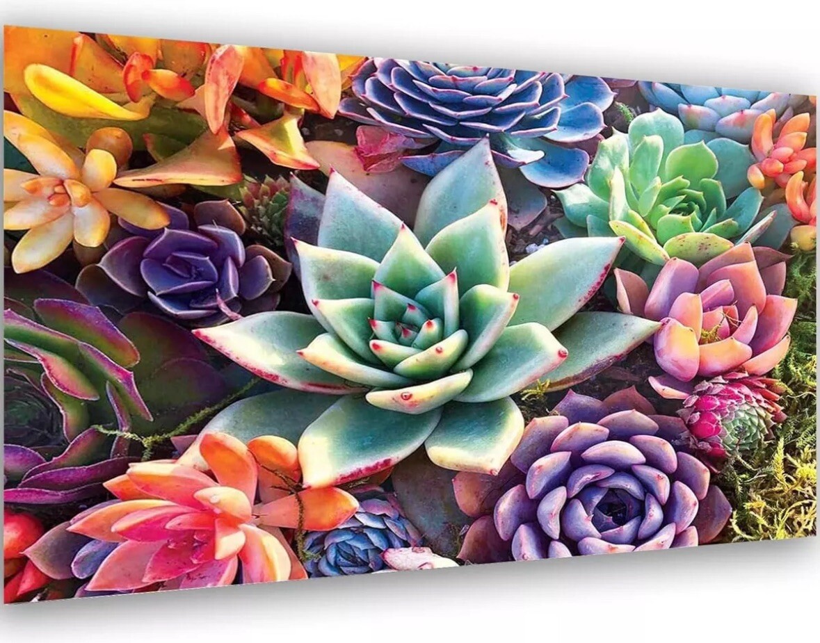 Succulent Canvas UNFRAMED Wall Art 15.7 X 19.7in. (40 X 50cm)
