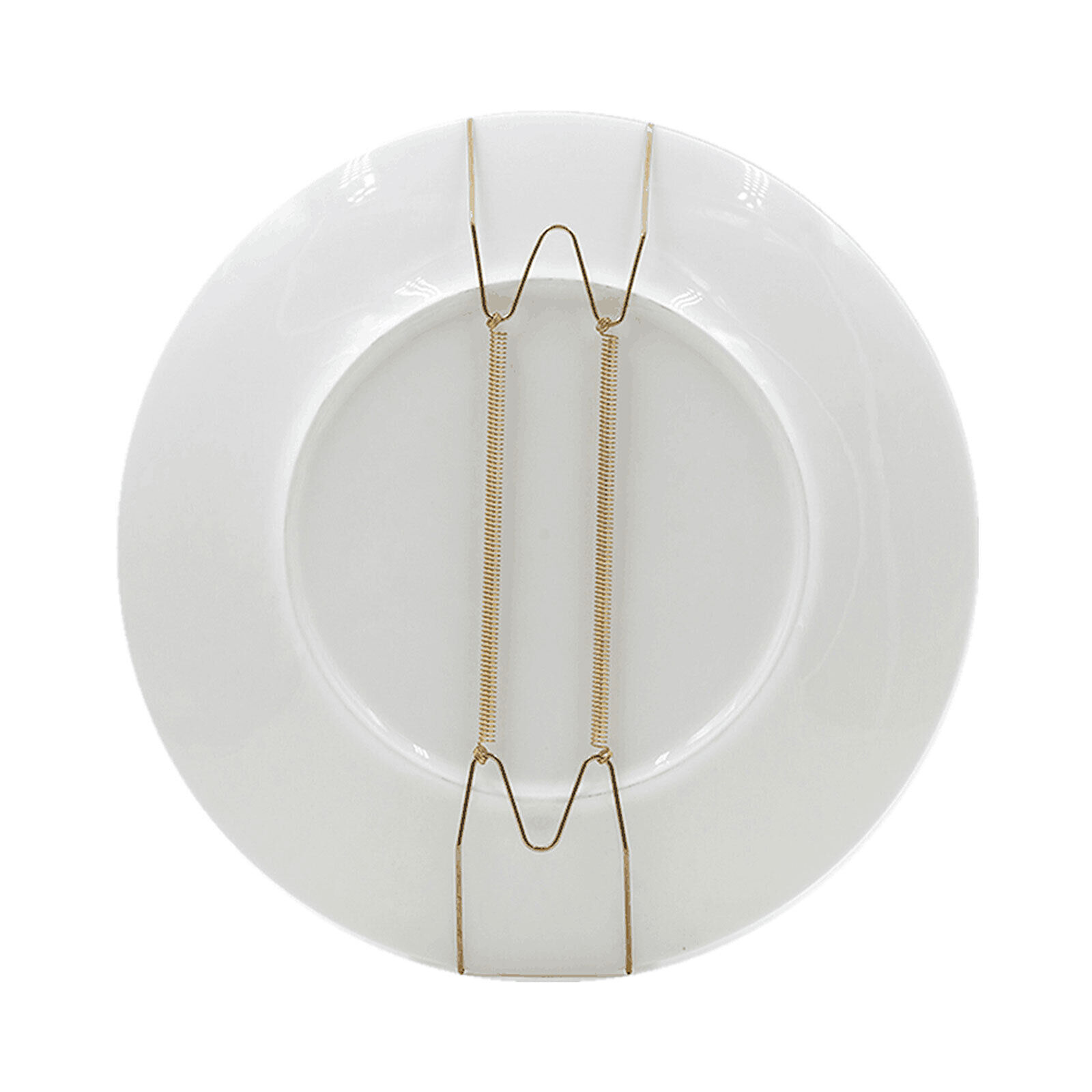 10Pcs Wall Plate Spring Hook Hanger Holder Hanging Wire Home Decor Accessory