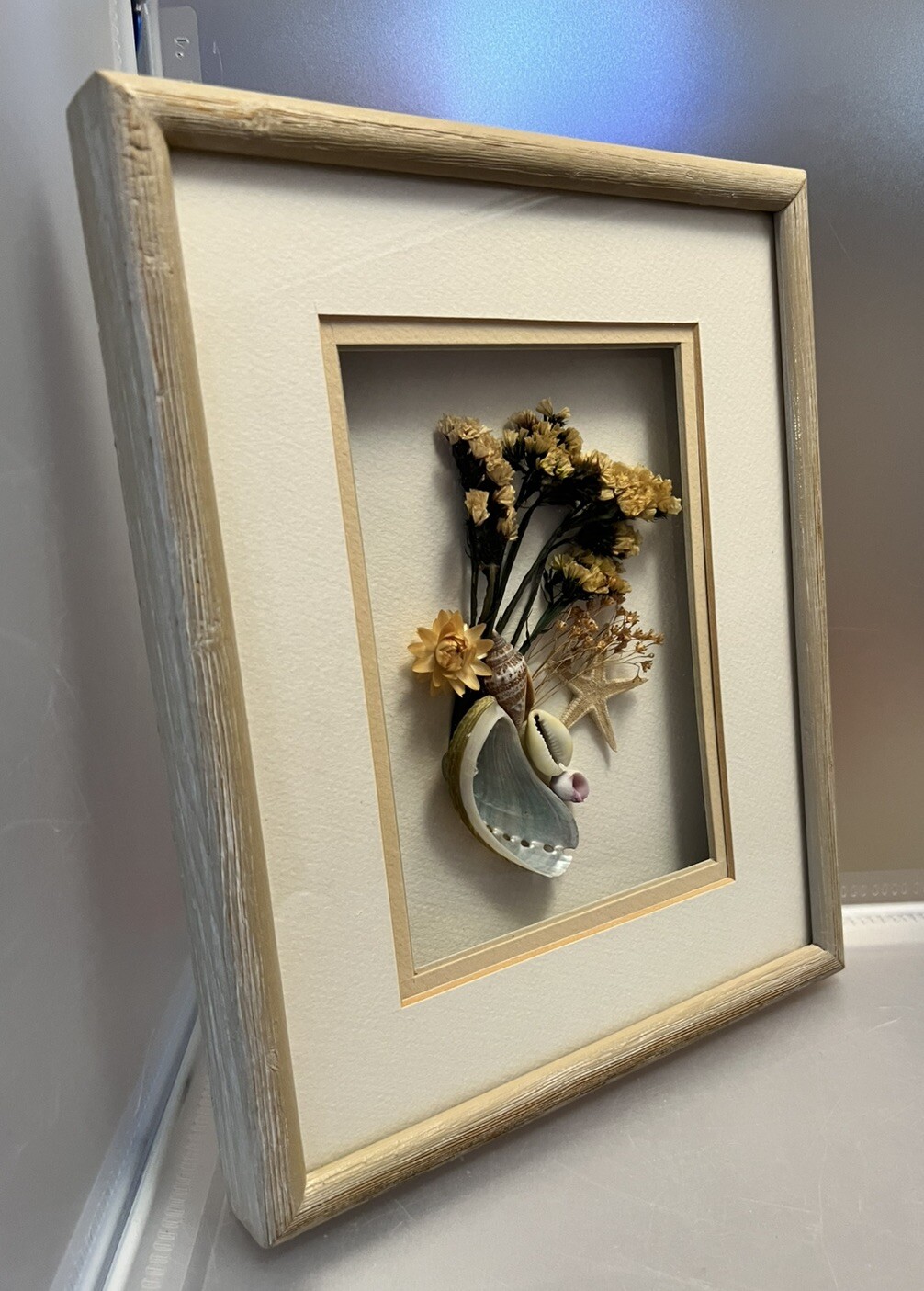 Vintage Seashell / Dried Flower Wood Framed Wall Art Shadow Box 11&Prime; x 8.5&Prime;