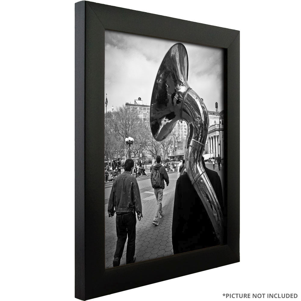 Craig Frames 1&Prime; Wide Modern Satin Black Assembled Picture Frames & Poster Frames