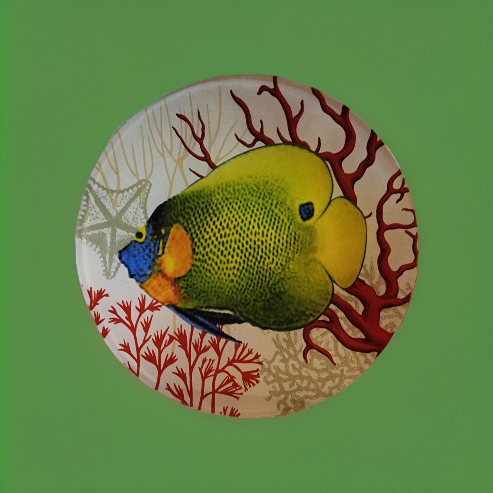 Two&rsquo;s Company Exotic Fish Decorative Glass Plate 8” Blue Face Angel Fish